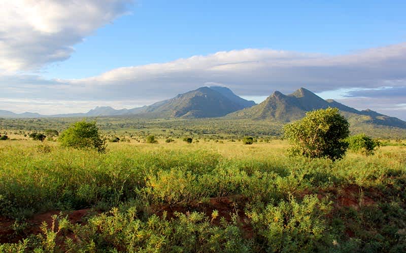 Kenya Dağı Milli Parkı